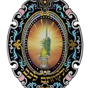 ולקחתם לכם קטיפה