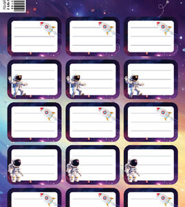 מדבקות שם ומקצוע דגם אסטרונאוט