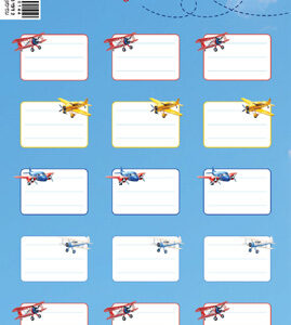 מדבקות שם ומקצוע דגם מטוסים